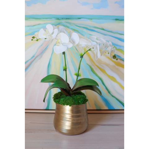 White Orchids in Goldie  Pot