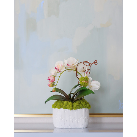Ivory & Blush Orchid in Engraved Planter