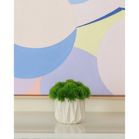 Green Alliums in Mini Geo Pot