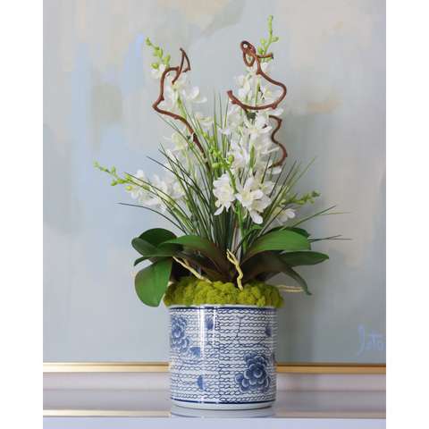 Dendrobium Orchid Blue & White Chrysanthemum Pot