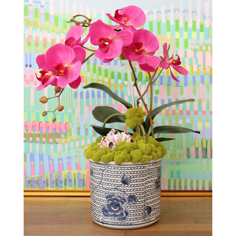 Fuchsia Orchid in Blue & White Chain Pot