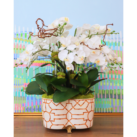 White Orchids in Bamboo Quatrefoil Planter