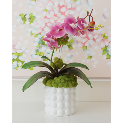 Light Purple Orchid in Bubble Pot