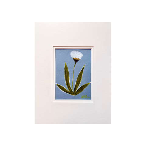 White Tulip on Blue No. 1