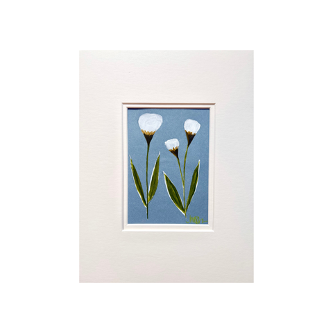 White Tulip on Blue No. 3