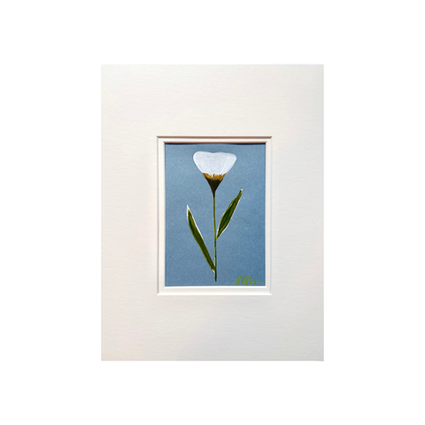 White Tulip on Blue No. 4