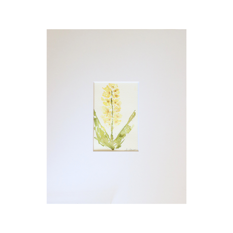 Gladiolus Burning Sunrays II