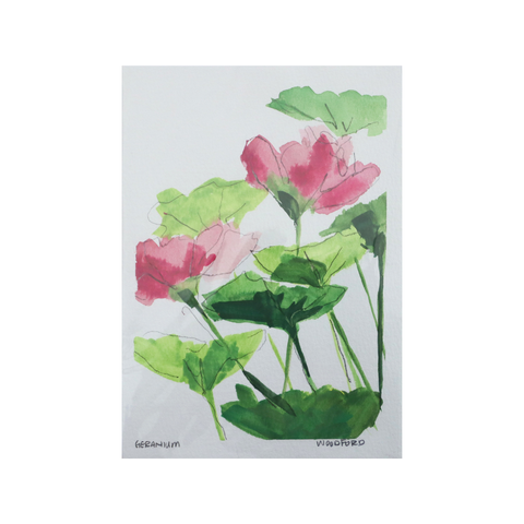 Geranium III