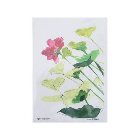 Geranium I