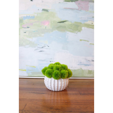 Green Alliums in White Urchin Bowl