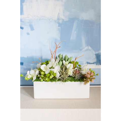 White Orchids & Succulents in Matte Mood Vessel