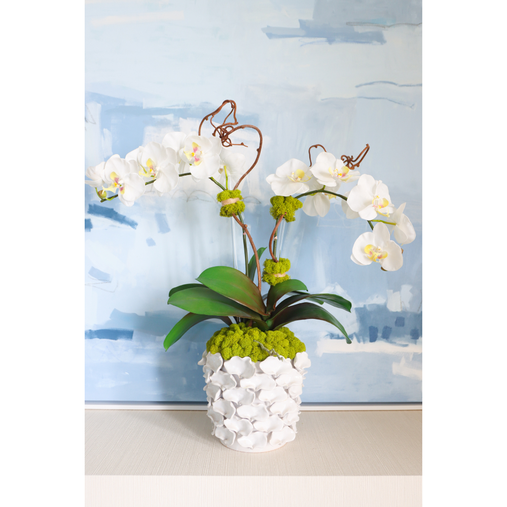 White Orchids in Petal Pot