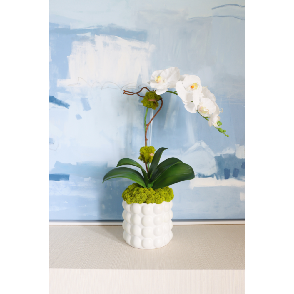 White Orchid in Bubble Pot