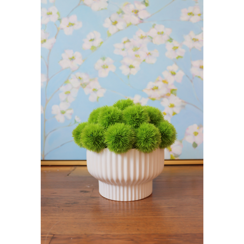 Green Alliums in Grooved Lines Bowl