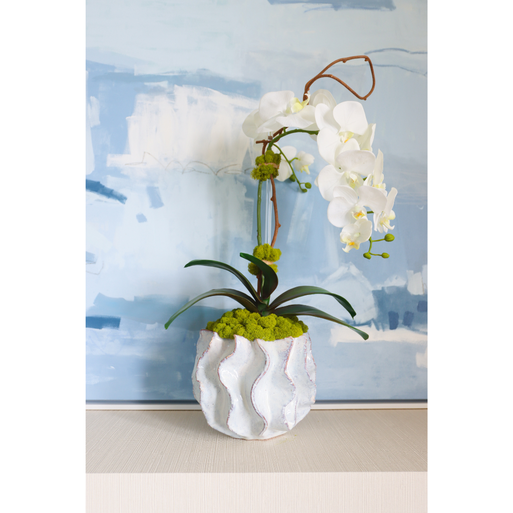 White Orchid in Wave Bowl