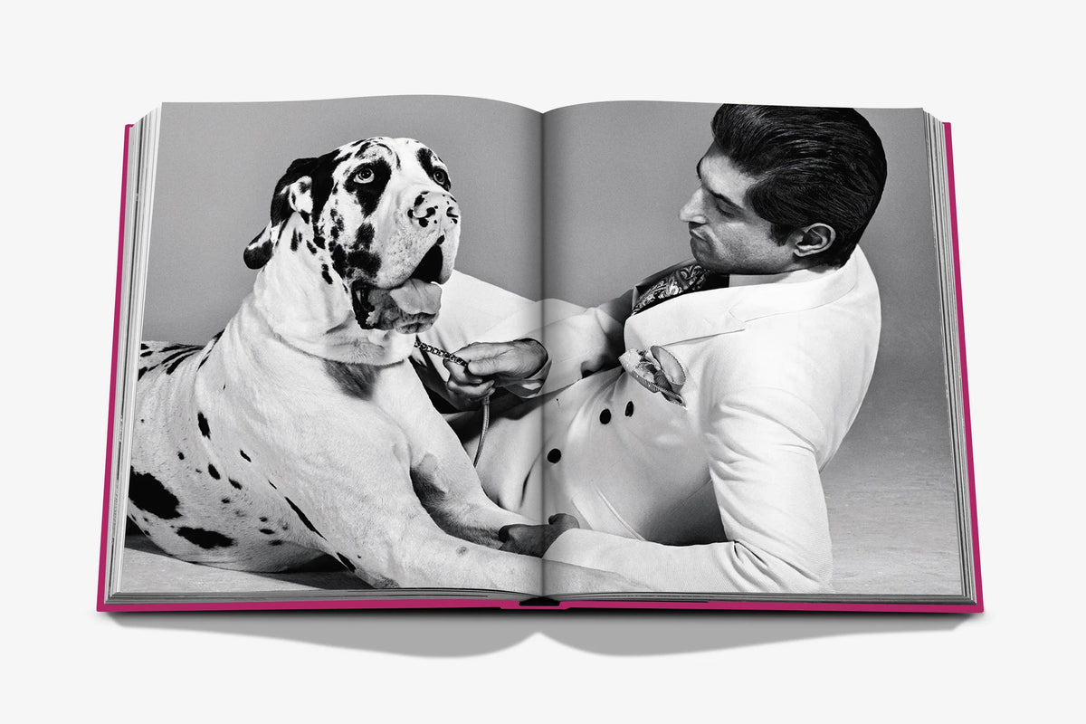 "Chic Dogs"