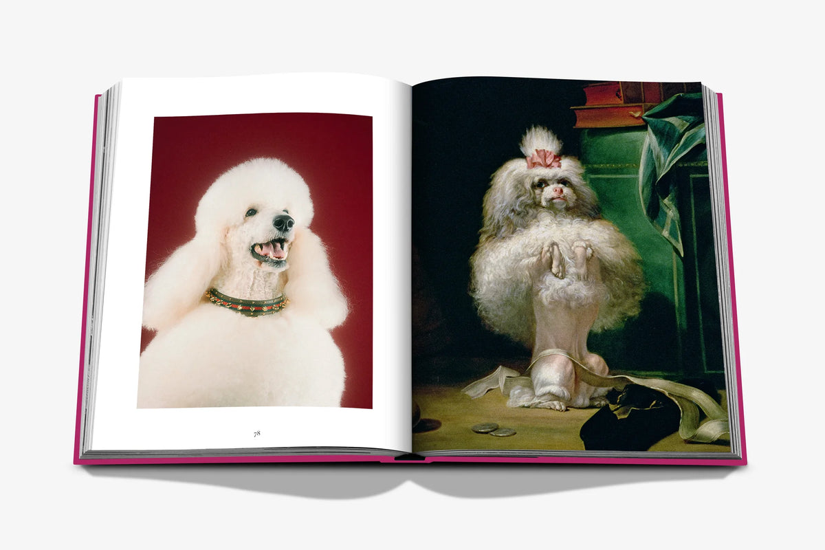 "Chic Dogs"