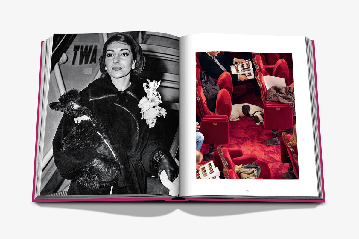 "Chic Dogs"