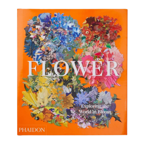 Flower: Exploring the World in Bloom