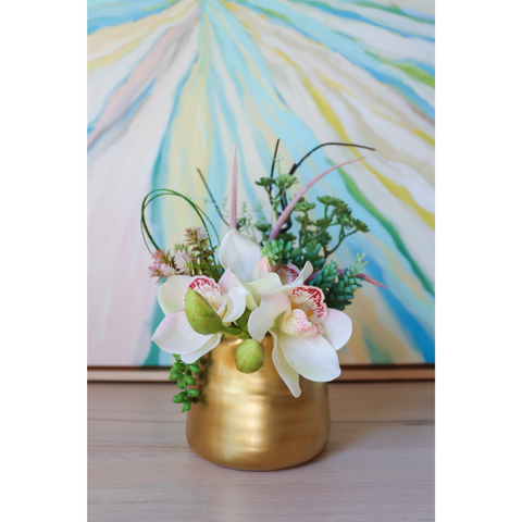Ivory Orchids & Succulents in Small Goldie Pot