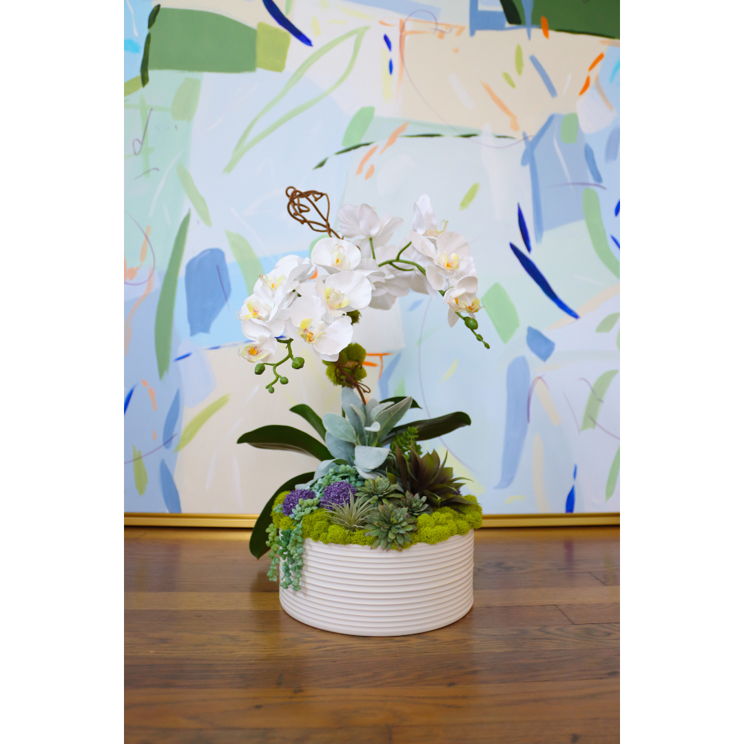 White Orchids & Succulents in Grooved Lines Bowl