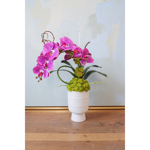 Purple Tiger Orchid in Pedestal Pot