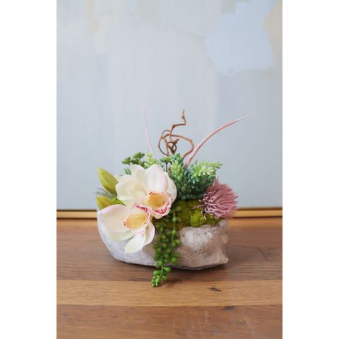 Ivory & Blush Orchids & Succulent in Concrete Planter