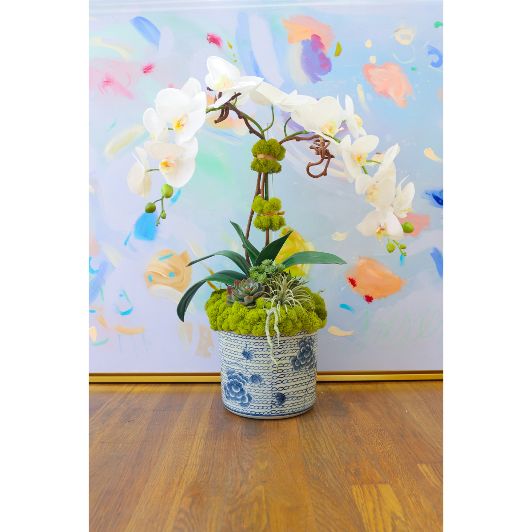 White Orchids & Succulents in Blue & White Chain Pot
