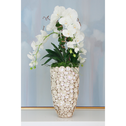 White Orchids in Discus Vase
