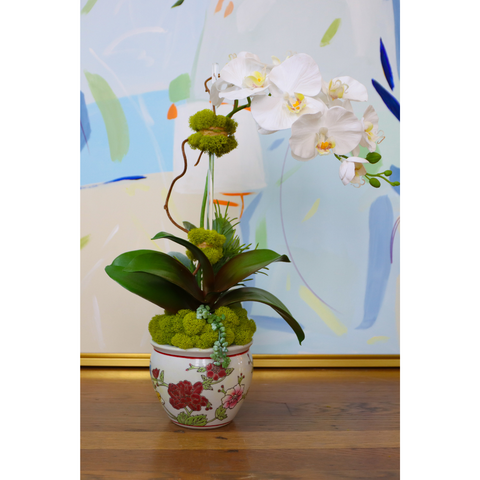 White Orchid & Succulents in Petite White Fishbowl
