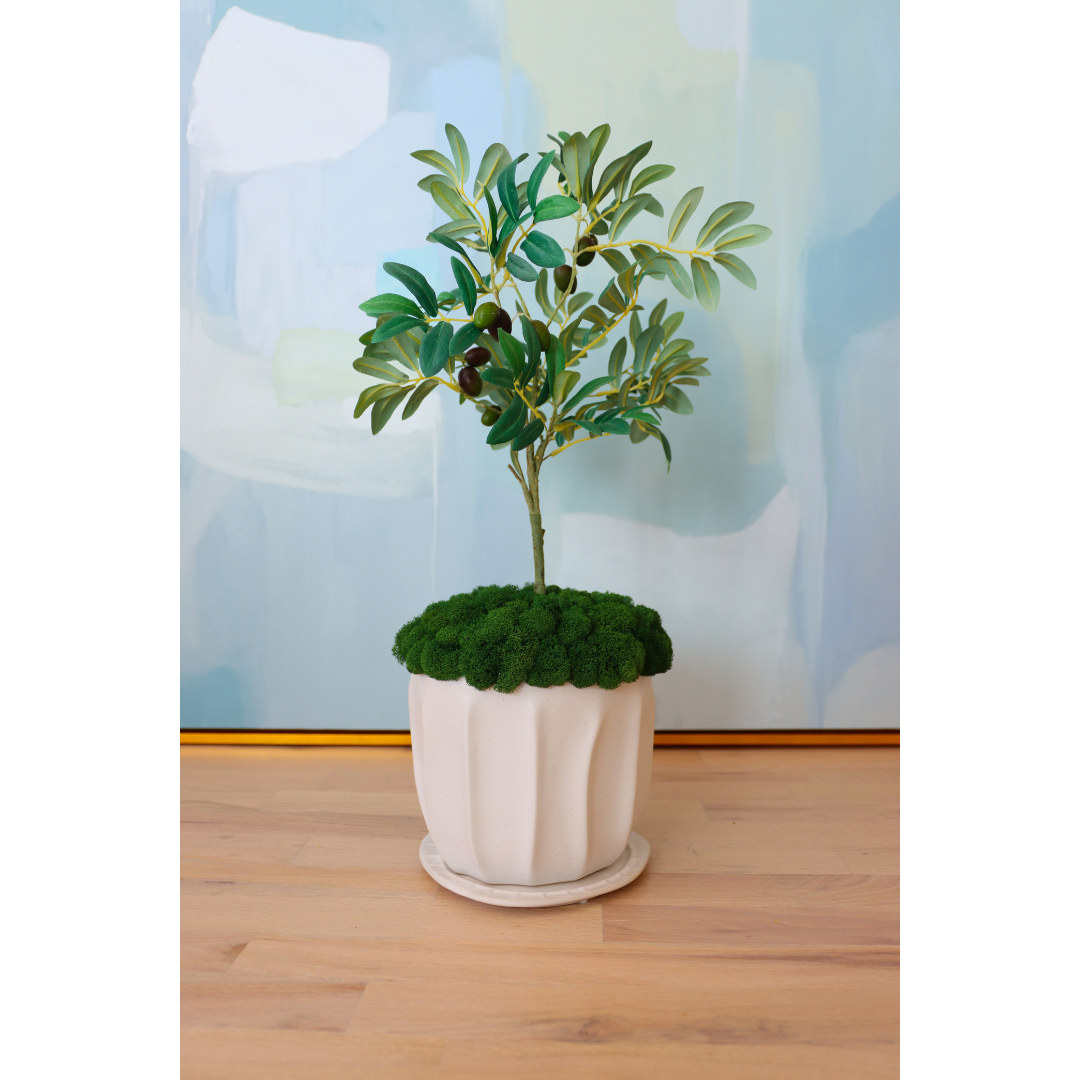 Faux Mini Olive Tree in Speckled Pot